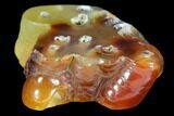 Polished, Chalcedony Replaced (Fossilized) Bamboo - Indonesia #121963-1
